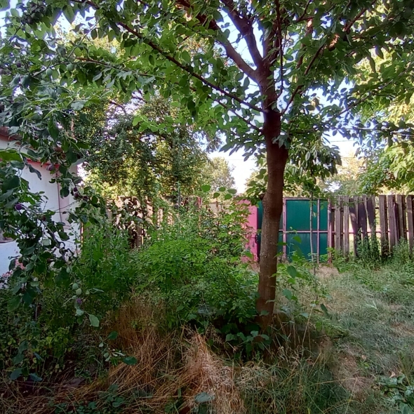 Casa Glia - Teren de vanzare constructie casa Șimand Arad