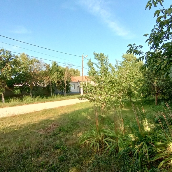 Teren de vanzare constructie casa Șimand Arad
