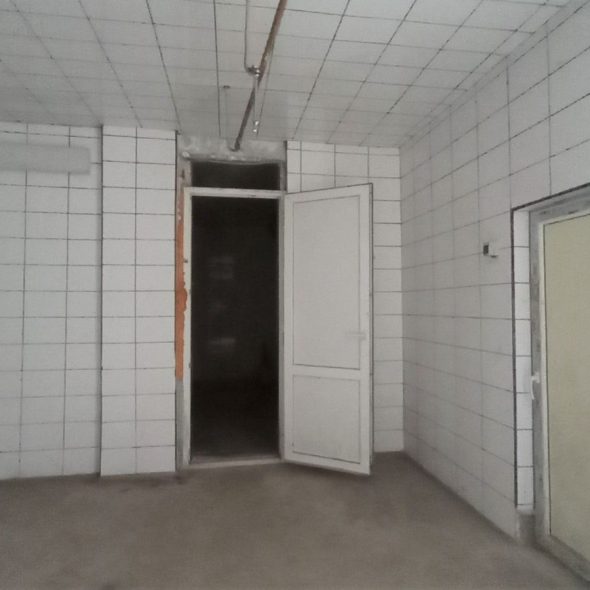 slaughterhouse-abatoir-horia (23)