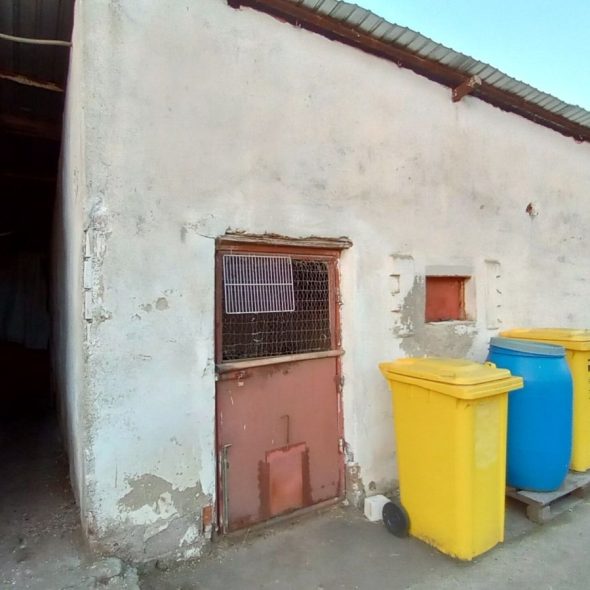 slaughterhouse-abatoir-horia (33)