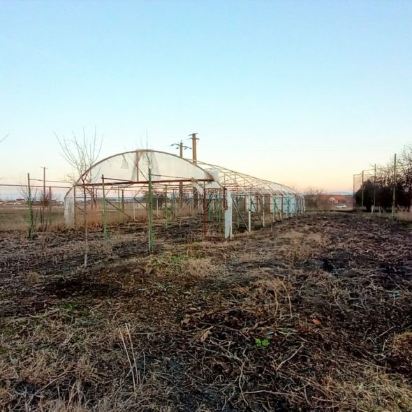 slaughterhouse-abatoir-horia (37)