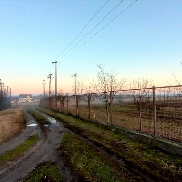 slaughterhouse-abatoir-horia (40)