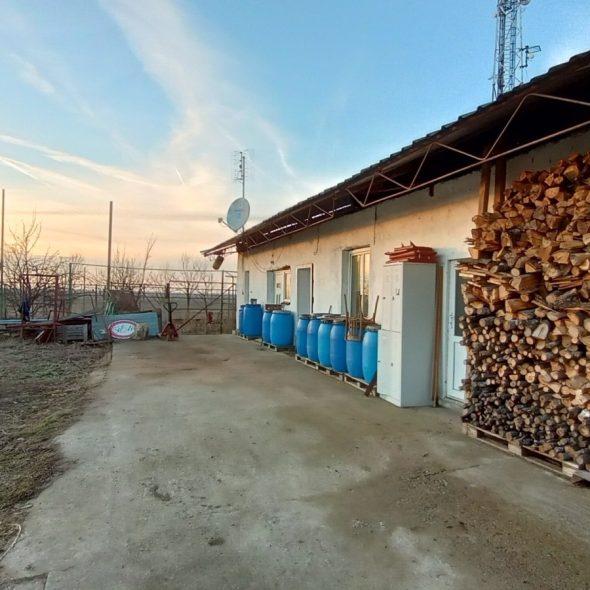 slaughterhouse-abatoir-horia (48)