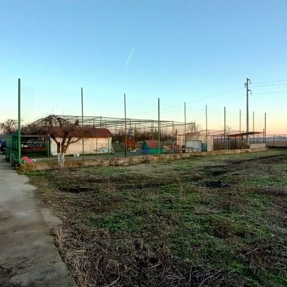 slaughterhouse-abatoir-horia (49)