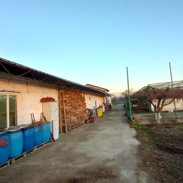 slaughterhouse-abatoir-horia (50)