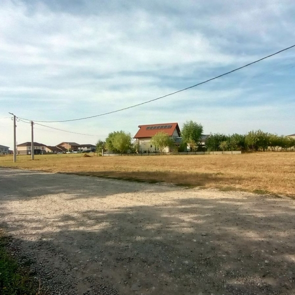 teren_mosnita_pietr (4)