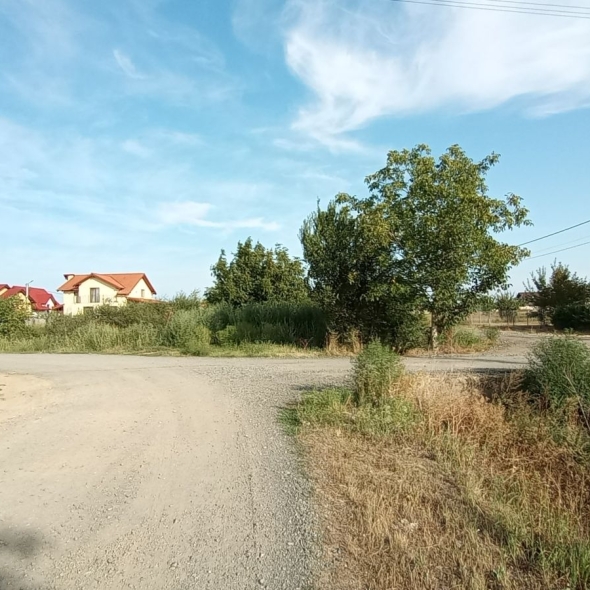 teren_mosnita_pietr (5)